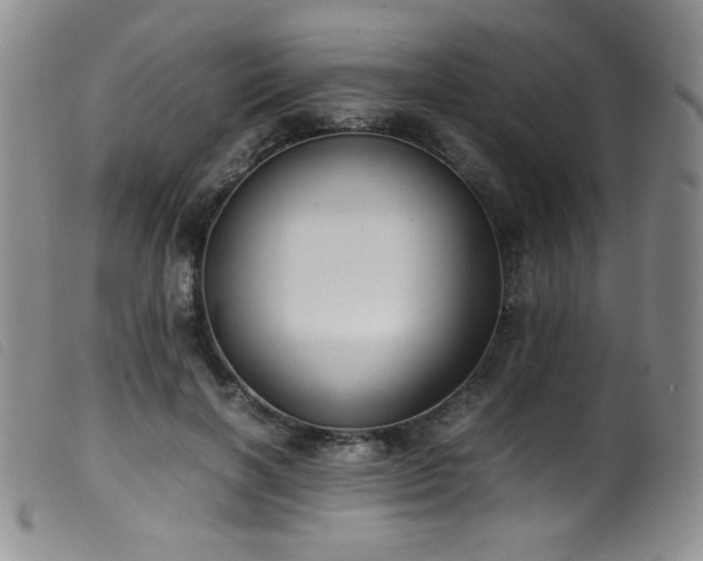 X0000099550646200805161453