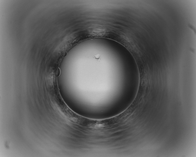 X0000099550647200805161453