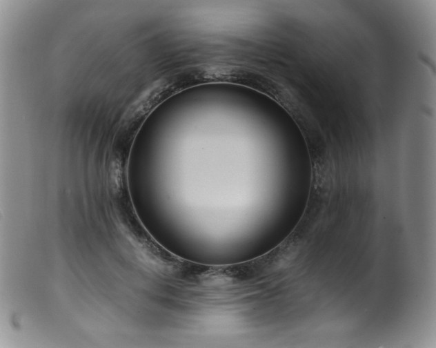 X0000099550648200805161453