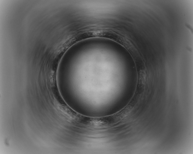 X0000099550650200805161453