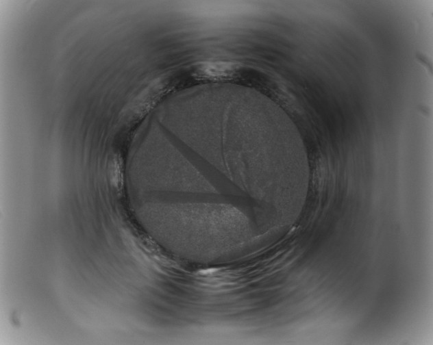 X0000099550651200805161453