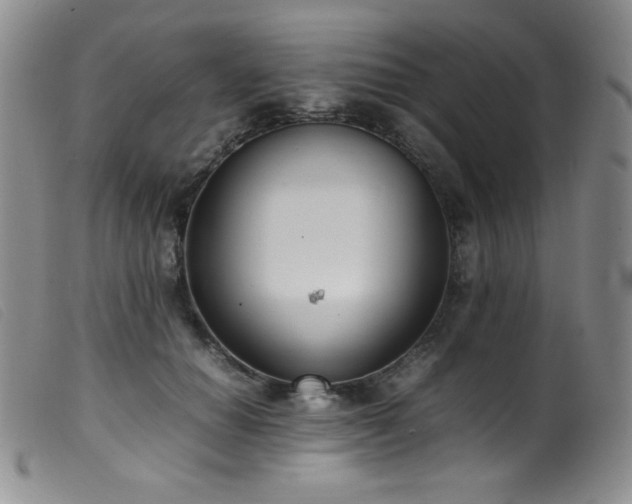 X0000099550654200805161453