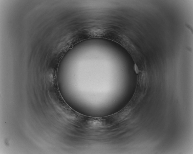 X0000099550655200805161453
