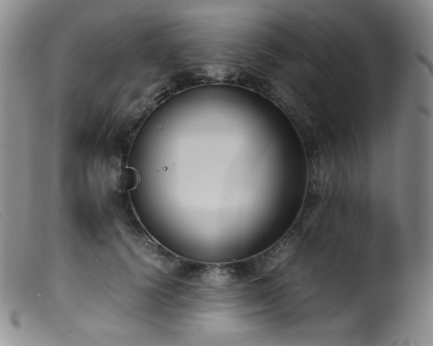 X0000099550656200805161453