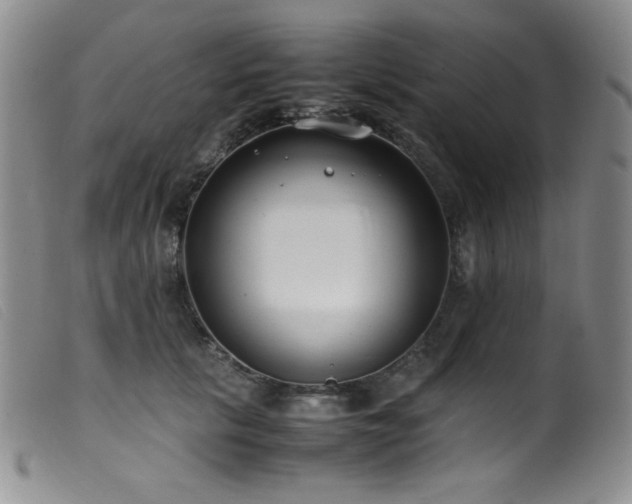 X0000099550657200805161453