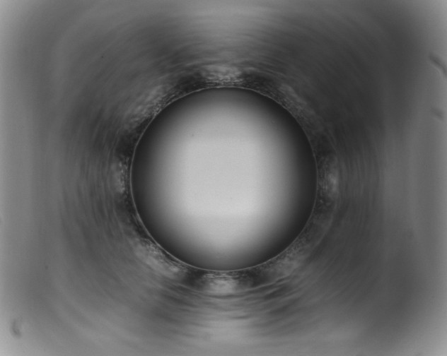 X0000099550658200805161453