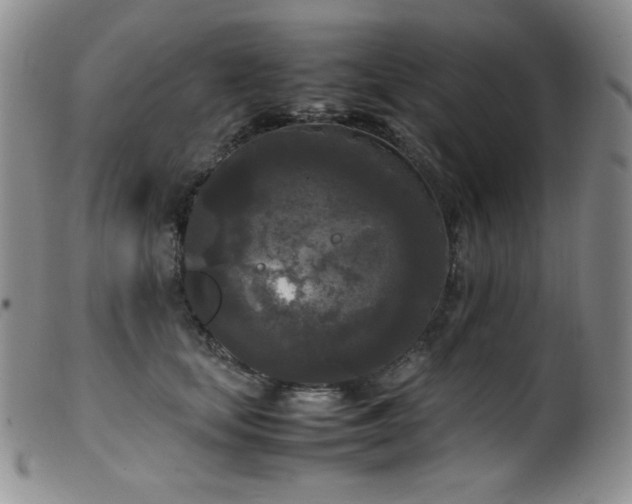 X0000099550659200805161453
