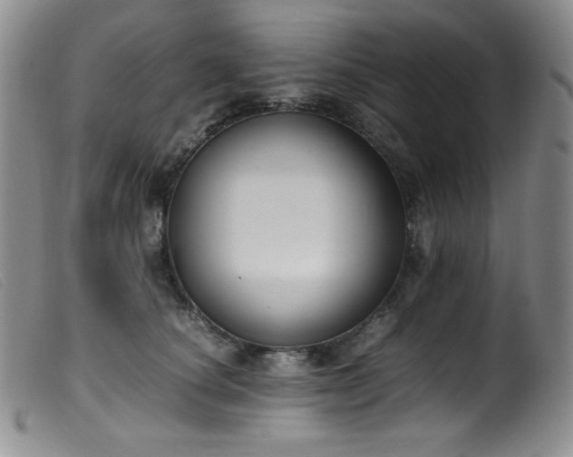X0000099550660200805161453