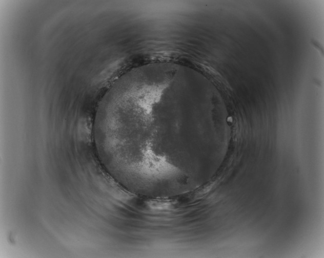 X0000099550661200805161453