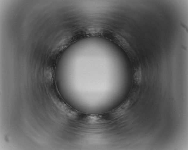 X0000099550662200805161453
