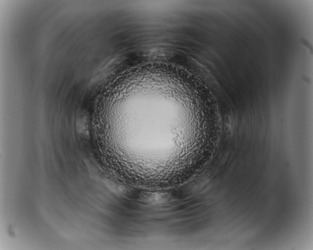 X0000099550663200805161453
