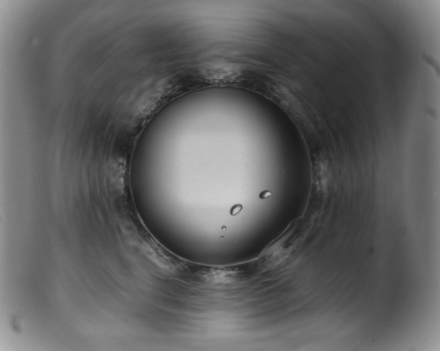 X0000099550664200805161453