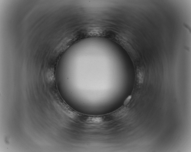 X0000099550665200805161453