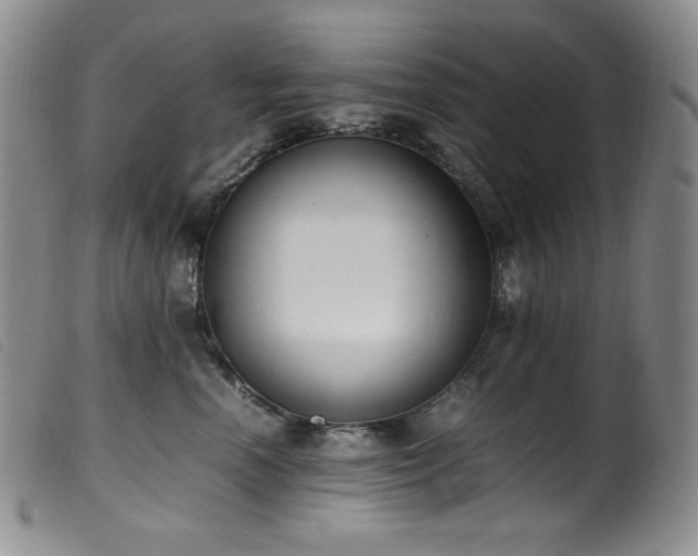 X0000099550666200805161454