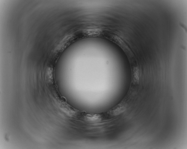 X0000099550667200805161454