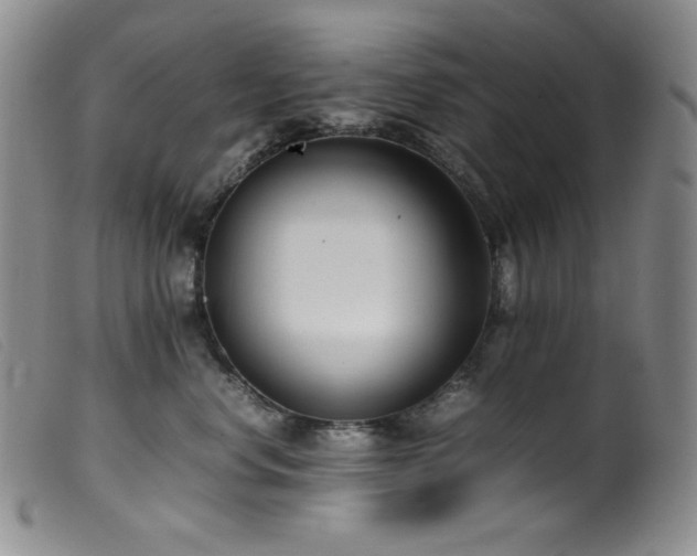 X0000099550668200805161454