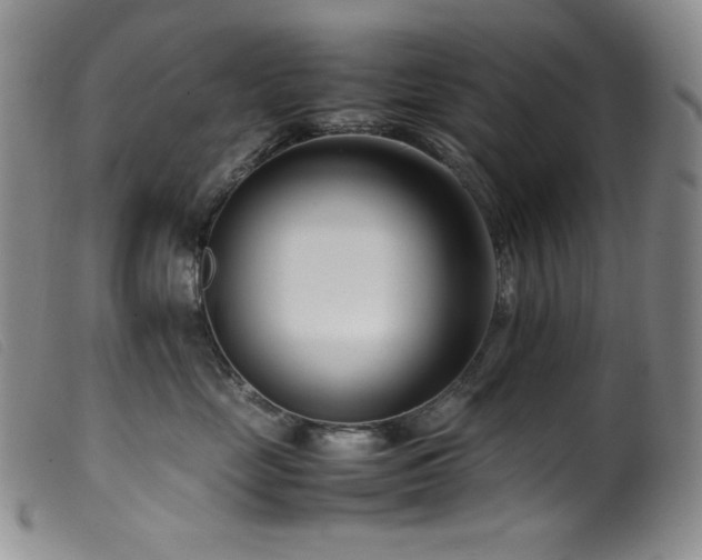 X0000099550669200805161454
