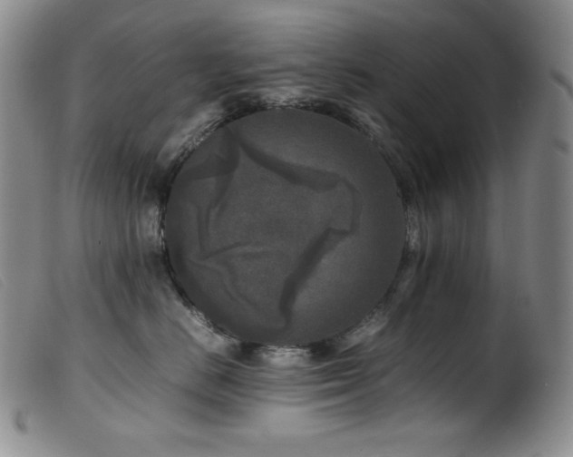 X0000099550670200805161454