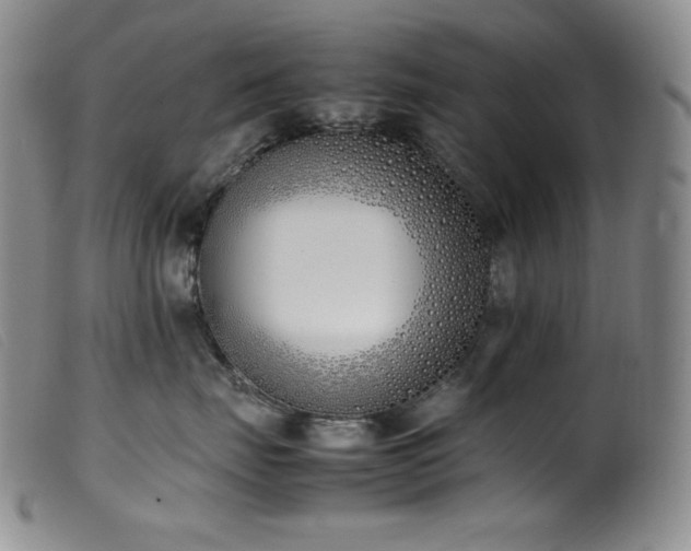 X0000099550671200805161454