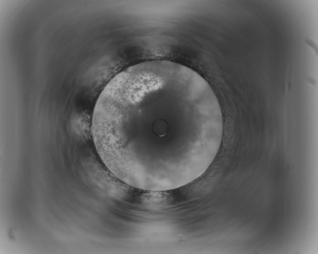 X0000099550672200805161454