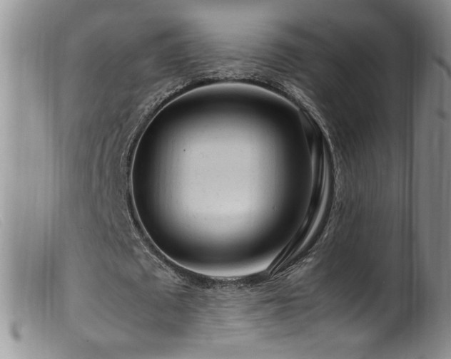 X0000099550673200805161453