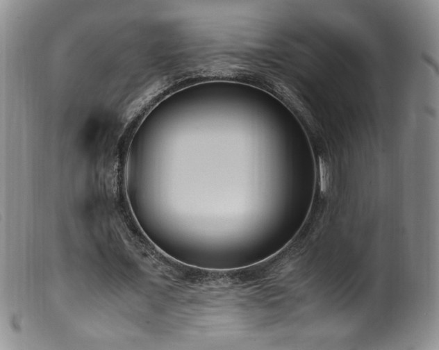 X0000099550675200805161453