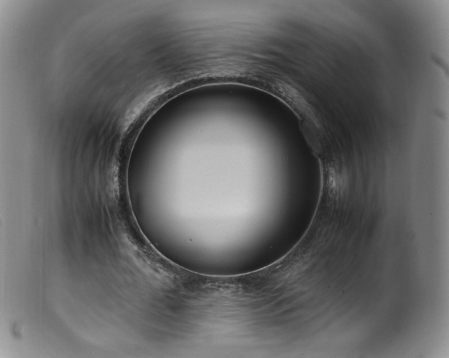 X0000099550676200805161453