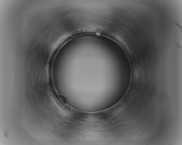 X0000099550678200805161453
