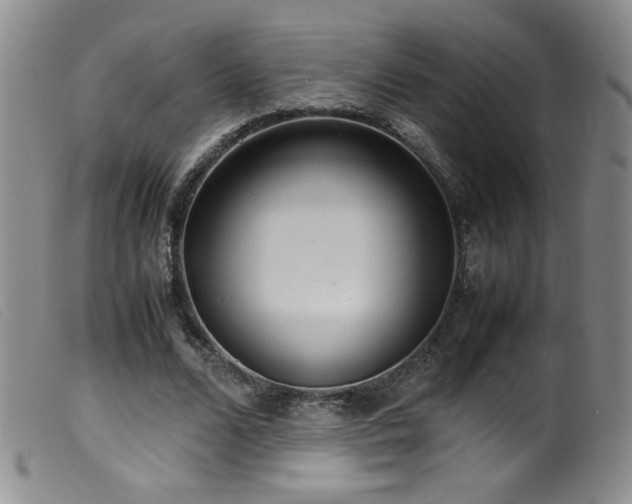 X0000099550680200805161453
