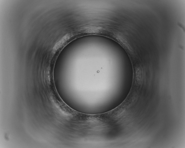 X0000099550682200805161453