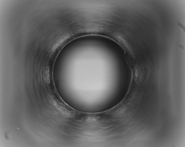 X0000099550684200805161453