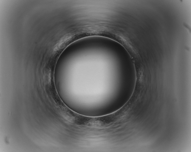 X0000099550685200805161453