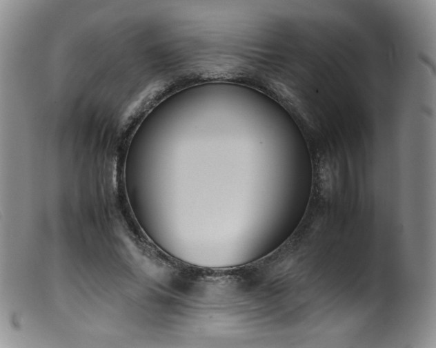 X0000099550686200805161453