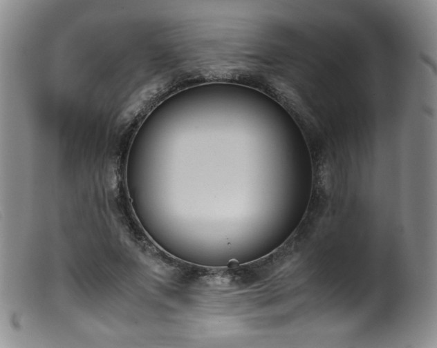 X0000099550687200805161453