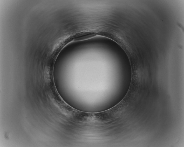 X0000099550688200805161453