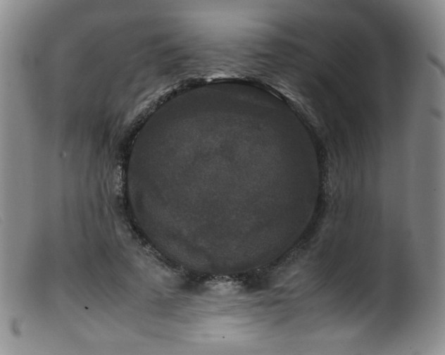 X0000099550689200805161453