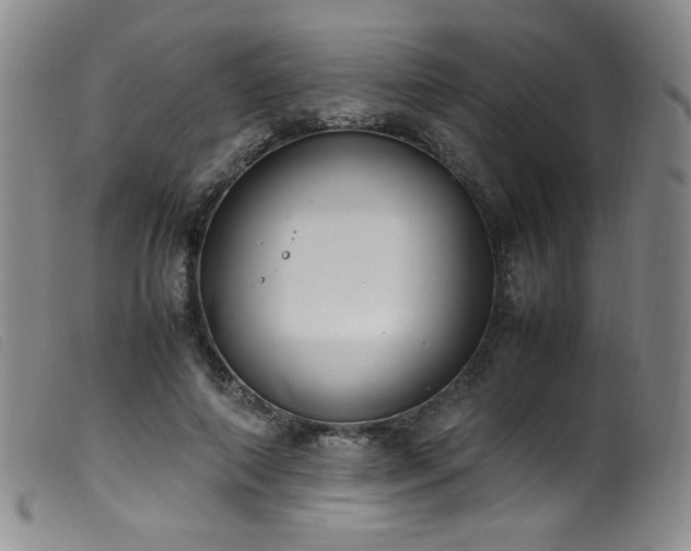 X0000099550690200805161453