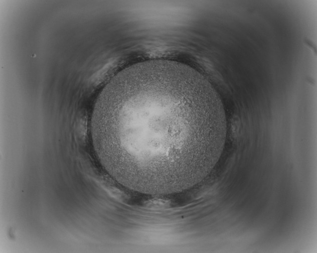 X0000099550691200805161453