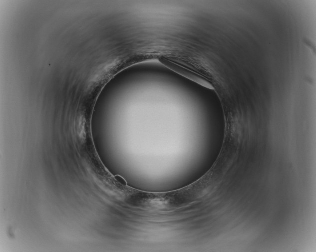 X0000099550692200805161453