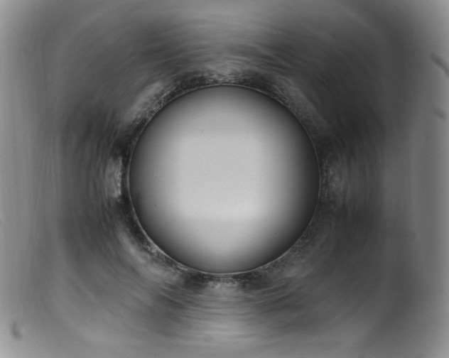 X0000099550694200805161453