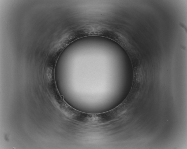 X0000099550695200805161453