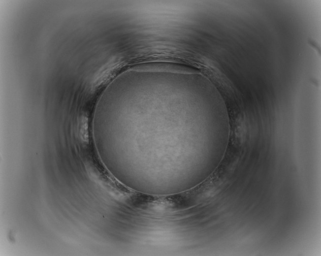 X0000099550696200805161453