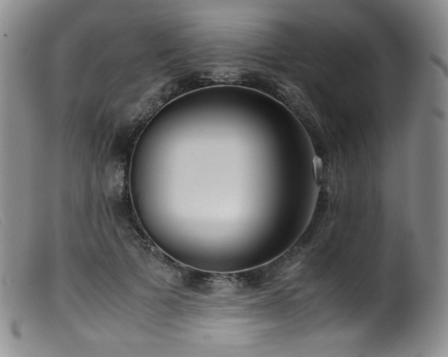 X0000099550697200805161453