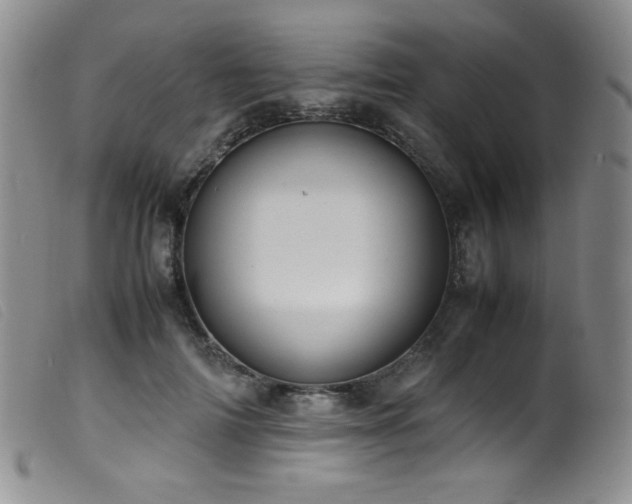 X0000099550698200805161452