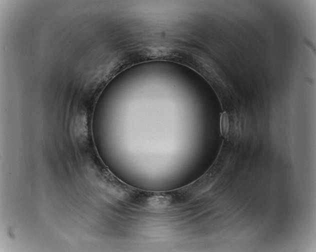 X0000099550700200805161452