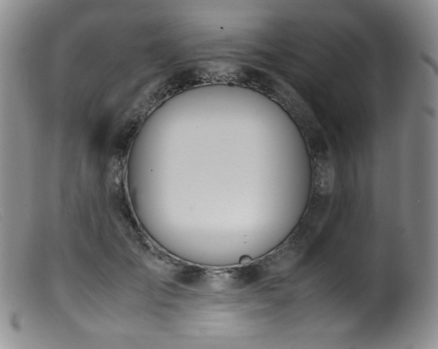 X0000099550701200805161452