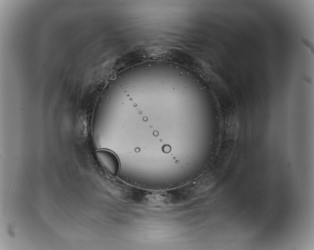 X0000099550703200805161452