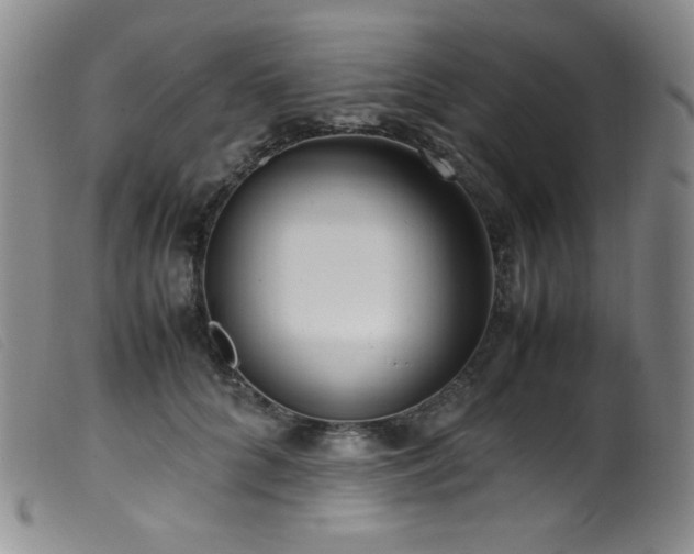 X0000099550704200805161452
