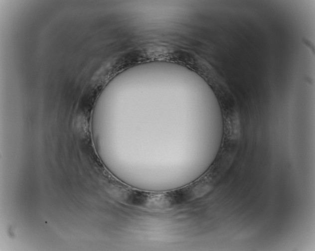 X0000099550705200805161452