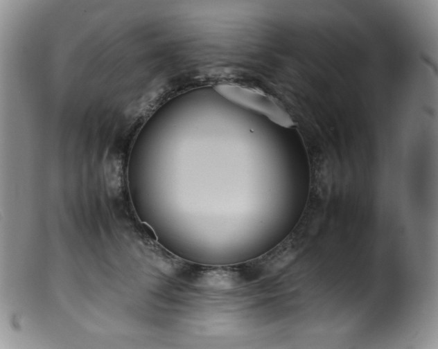 X0000099550708200805161452